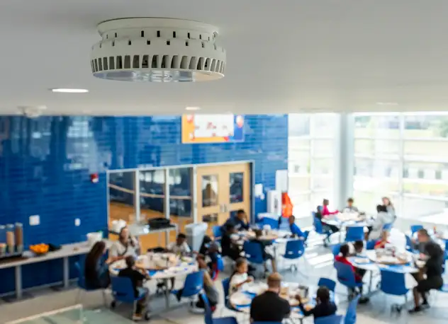 AI Solutions for Education