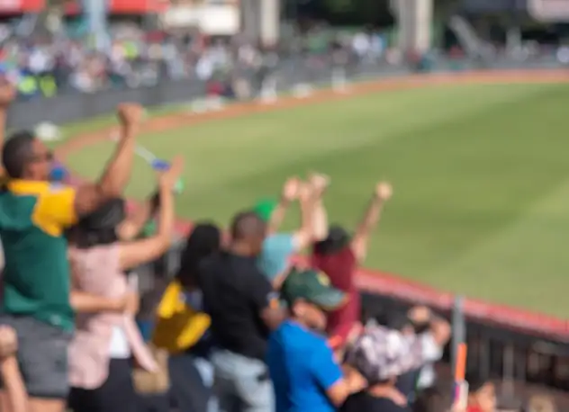 AI Solutions for Stadiums